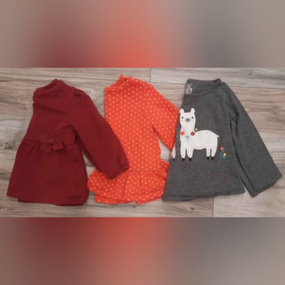 Set of 3 baby girl Polka Dot And Lama Print long sleeve Top 12M carters baby gap